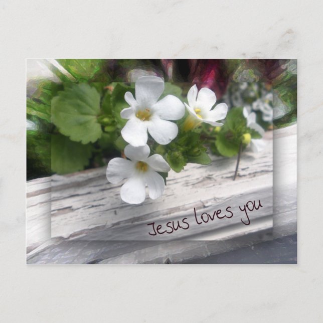 Carte postale Mon mouton (Devant)