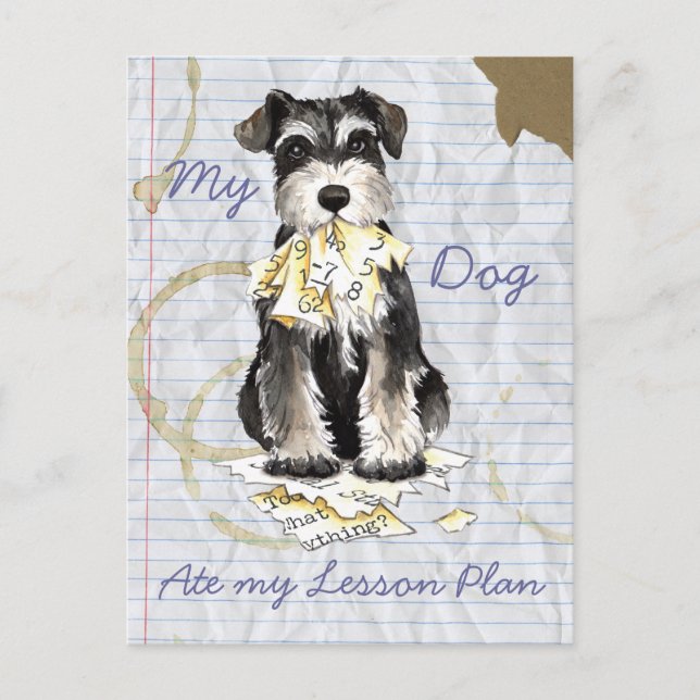 Carte Postale Mon Schnauzer Miniature A Mangé Mon Plan De Leçon (Devant)