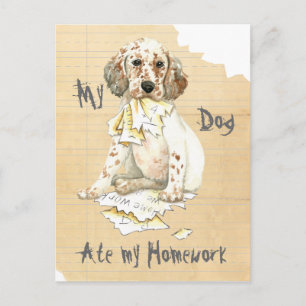 Carte Postale Mon Setter Anglais A Mangé Mes Devoirs