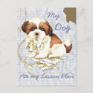 Carte Postale Mon Tzu Shih a mangé mon plan de leçon
