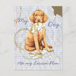 Carte Postale Mon Vizsla a mangé mon plan de leçon