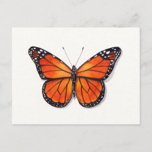 Carte postale Monarch Butterfly