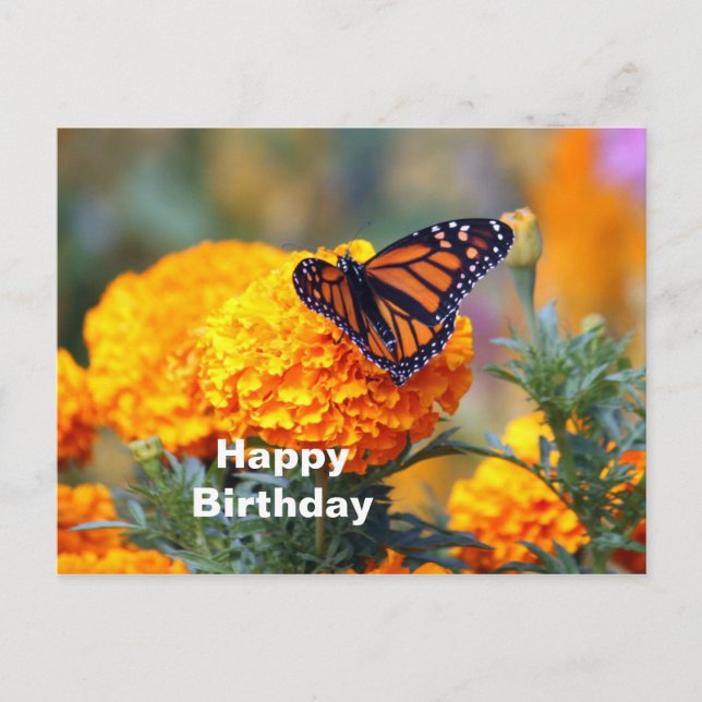 Carte Postale Monarch Butterfly Marigold Photo Anniversaire (Devant)