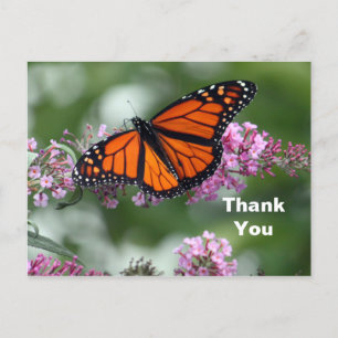 Carte Postale Monarque Orange Papillon Floral Merci photo