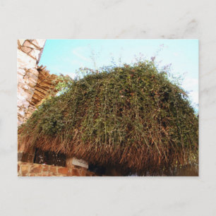 Carte Postale Monastère Sainte-Catherine, Sud Sinaï, Egypte