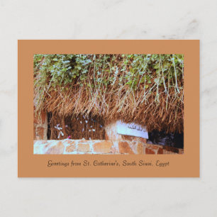 Carte Postale Monastère Sainte-Catherine, Sud Sinaï, Egypte