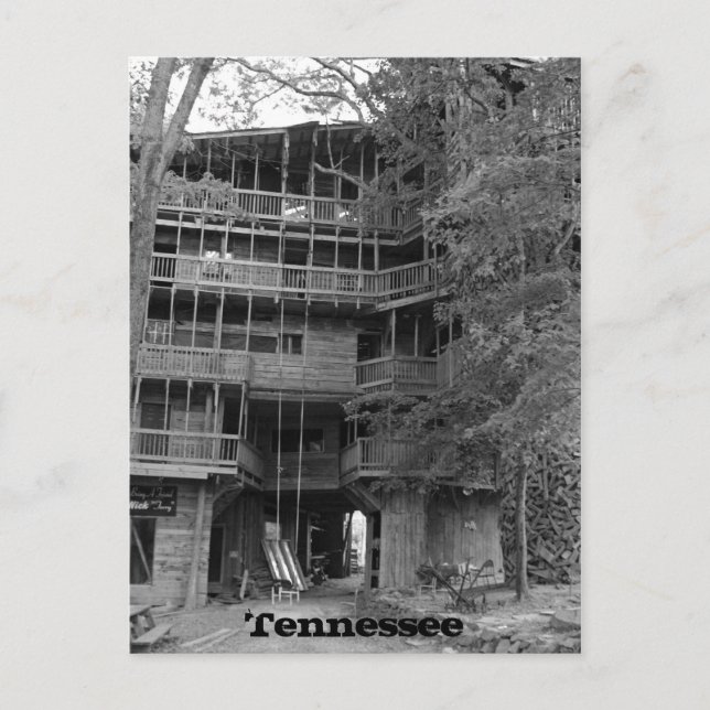 Carte Postale Mondes plus grands Treehouse (Devant)