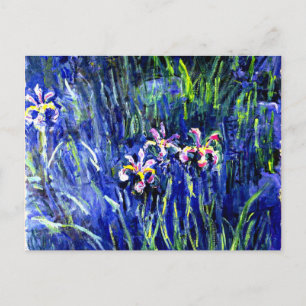 Carte Postale Monet - Irises