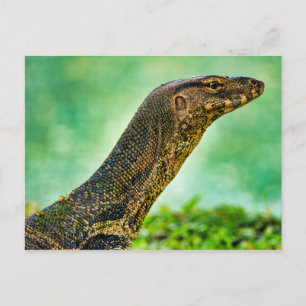 Carte Postale Moniteur Lizard