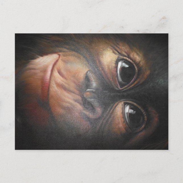 Carte postale Monkey (Devant)