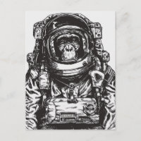 Monkey Astronaut