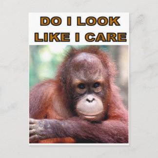 CARTE POSTALE MONKEY FUN