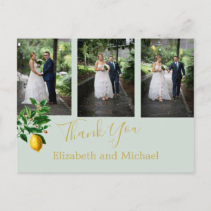 Carte Postale Monnaie de citron vert Merci de mariage élégant