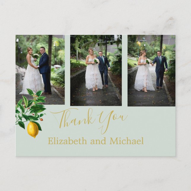 Carte Postale Monnaie de citron vert Merci de mariage élégant (Devant)