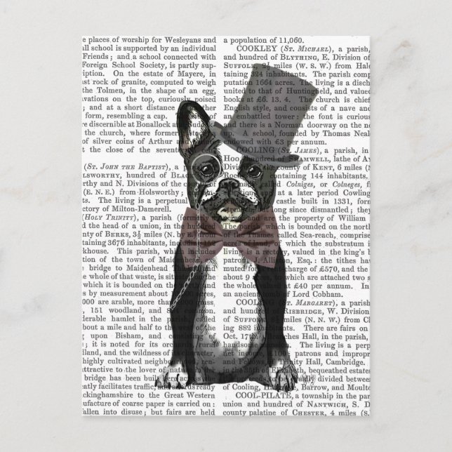 Carte Postale Monsieur Bulldog 2 (Devant)