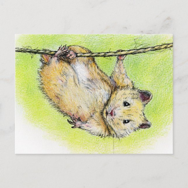 Carte Postale Monsieur Ham (Devant)