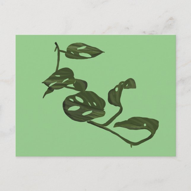 Carte Postale Monstera Adanosii Fromage Plante Illustration Vert (Devant)