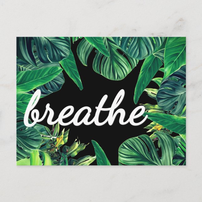 Carte Postale Monstera Affirmation d'Abondance Loi d'Attraction (Devant)