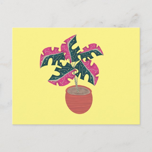 Carte Postale Monstera Variée rose et vert Plante pointillé (Devant)