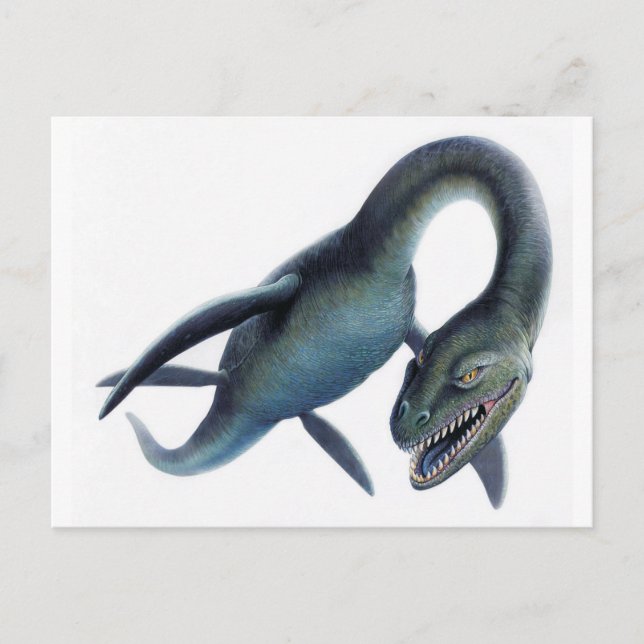 Carte Postale Monstre du Loch Ness (Devant)