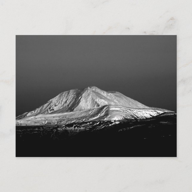Carte Postale Mont Adams Pic neigeux en Monochrome (Devant)