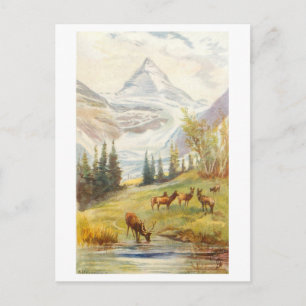 Carte Postale Mont Assiniboine et glacier vintage, Canada