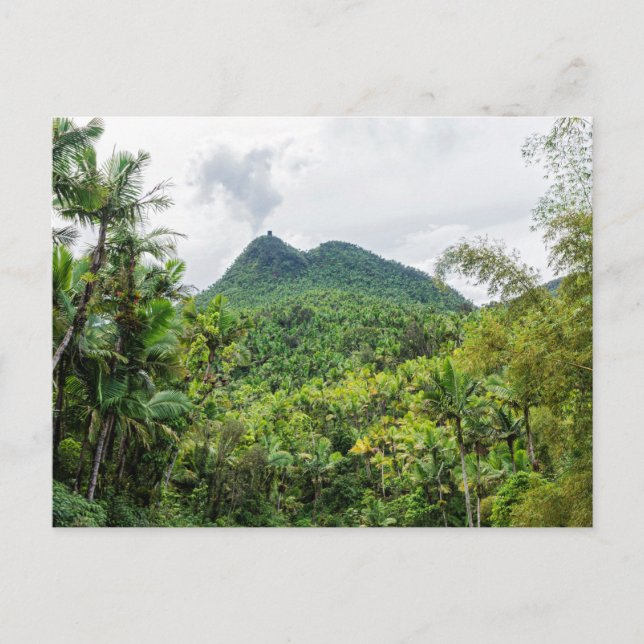 carte postale mont britton et el yunque paysage (Devant)