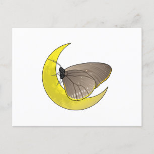 Carte Postale Mont Butterfly