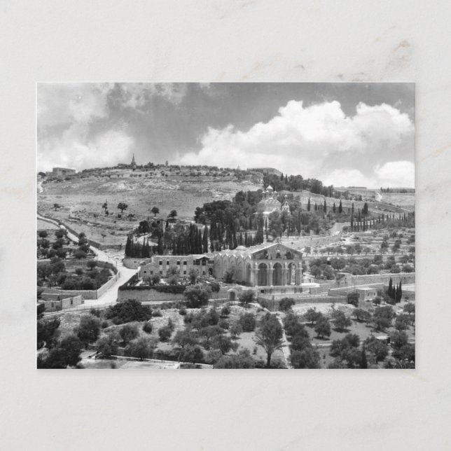 Carte Postale Mont des Oliviers et Jardin Gethsémani à Jérusalem (Devant)