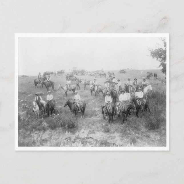 Carte Postale Mont des vaches (Devant)