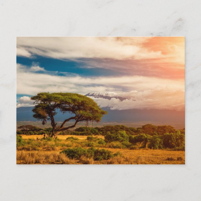Carte Postale Mont Kilimandjaro | Amboseli, Kenya (Devant)