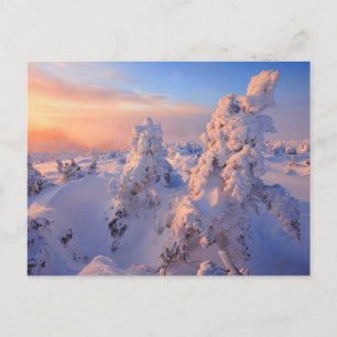 Carte Postale Mont Logan Lever du soleil Parc national de la Gas