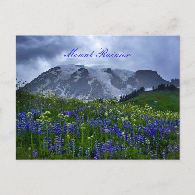 Carte postale Mont Rainier (Devant)