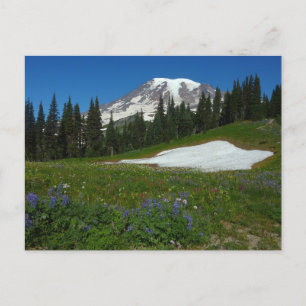 Carte Postale Mont Rainier, Fleurs sauvages et neige