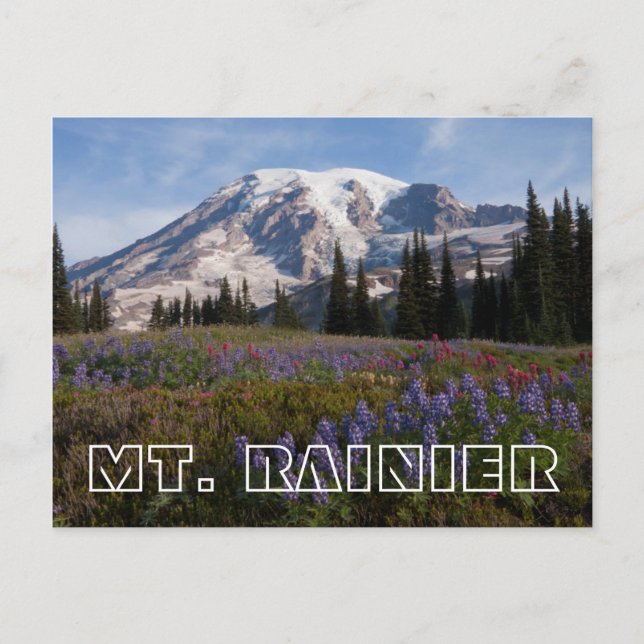 Carte Postale Mont Rainier National Park, Mont Rainier 3 (Devant)