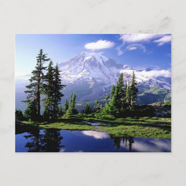 Carte Postale Mont Rainier Washington (Devant)
