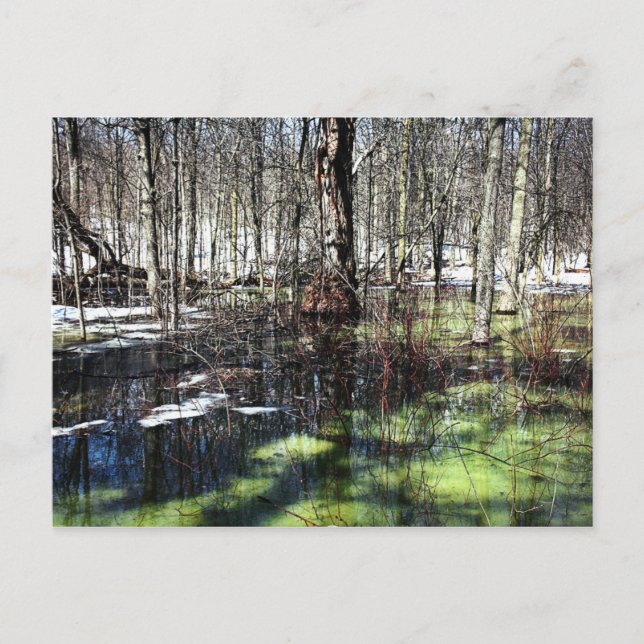 Carte Postale Mont-Royal (Devant)