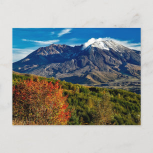 Carte Postale Mont Saint Helens, Washington
