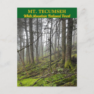 Carte postale Mont Tecumseh White Mountains