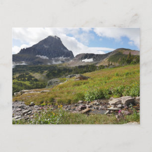 Carte Postale Montagne Bearhat et ruisseau glaciaire