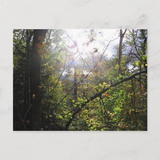 Carte Postale montagne cascade (Devant)