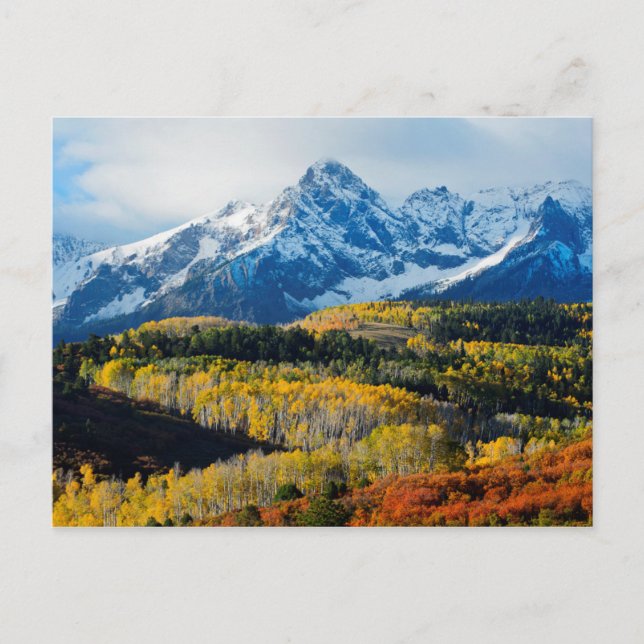 Carte Postale Montagne et arbres neigeux (Devant)