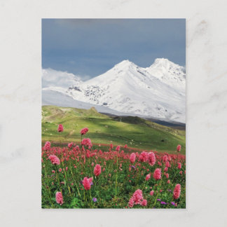 Carte Postale Montagne et prairie