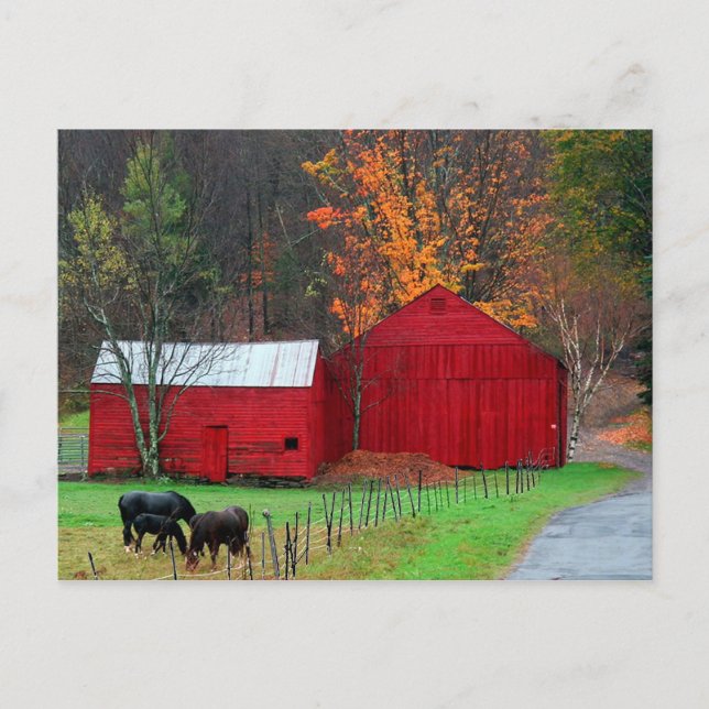 Carte Postale Montagne Hunter (Devant)