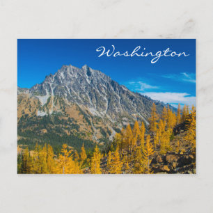 Carte Postale Montagne Stuart et larves d'automne
