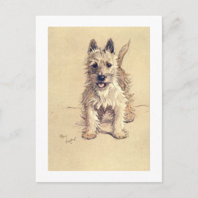 Carte Postale Montagne Terrier blanc occidentale (Devant)