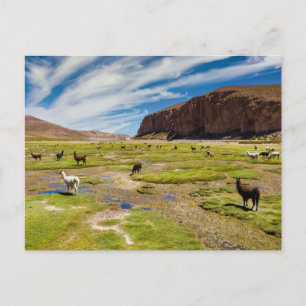 Carte Postale Montagnes Andes boliviennes