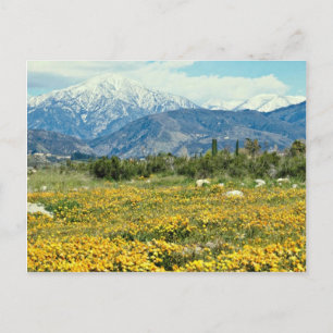 Carte Postale Montagnes de San Bernardino, neige, fleurs fleurs