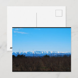 Carte Postale Montagnes enneigées derrière le champ de kakis