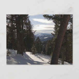 Carte Postale Montagnes Madison en hiver dans le Montana